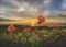 CLOUDBERRIES AVH HEYE 1000  [30016]