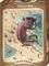 ZOZOVILLE BEACH BOY HEYE 1500  [30009...