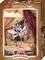 ZOZOVILLE OFF BROADWAY HEYE 2000  [29...