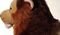 TRUDI CLASSIC LION NARCISO M
