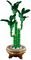 LEGO LUCKY BAMBOO [10344]