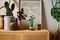LEGO LUCKY BAMBOO [10344]