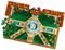 LEGO FOUNTAIN GARDEN [10359]