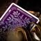  THEORY 11 MONARCHS PURPLE