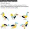 EGG TANGRAM PUZZLE MWSJ  