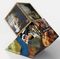 REMBRAND V CUBE 3 FLAT