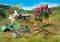 PLAYMOBIL 71523    