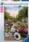 ���������� RAVENSBURGER 1000 ��������