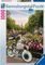 ���������� RAVENSBURGER 1000 ��������
