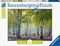 ����� RAVENSBURGER 1000 ��������