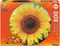 PUZZLE EDUCA SUNFLOWER 800 ��� [19034]