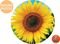 PUZZLE EDUCA SUNFLOWER 800  [19034]
