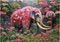PUZZLE EDUCA XXL 500 FLORAL ELEPHANT [20228]