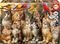 PUZZLE EDUCA 500 KITTENS AND BIRDS [20241]