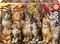 PUZZLE EDUCA 500 KITTENS AND BIRDS [20241]