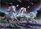 PUZZLE EDUCA 1000 SHOOTING STARS, ANNE STOKES [19919]