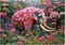 PUZZLE EDUCA 1000 FLORAL ELEPHANT [20229]