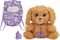 �������� ����������� BABY PAWS LABRADOODLE