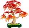 LEGO BOTANICAL JAPANESE RED MAPLE BONSAI TREE [10348]