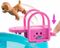 BARBIE: DREAM POOL PLAYSET