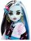 MONSTER HIGH FRANKIE [HHK53]