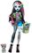 MONSTER HIGH FRA�KIE [HXH73]