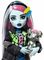 MONSTER HIGH FRA�KIE [HXH73]