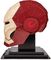 MARVEL THE INFINITY SAGA 4D BUILD - IRON MAN HELMET 3D PUZZLE MODEL KIT