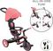 �������� GLOBBER TRIKE EXPLORER 4 IN 1 CORAL PINK (634-110)