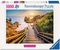 �������� �������� RAVENSBURGER 1000 ��������