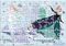 ΠΑΖΛ LUNA TOYS DISNEY FROZEN FOIL 2 ΣΕ 1 60 ΤΜΧ ΣΕ ΚΥΛΙΝΔΡΟ ΠΑΖΛ LUNA TOYS DISNEY FROZEN FOIL 2 ΣΕ 1 60 ΤΜΧ ΣΕ ΚΥΛΙΝΔΡΟ