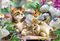PLAYFUL KITTENS SCHMIDT 150 �������� [56468]