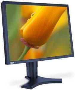 LACIE 130736 321 21\'\' LCD MONITOR