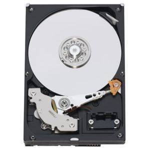 WESTERN DIGITAL 500GB WD5000AVJS AV SATA2 WESTERN DIGITAL 500GB WD5000AVJS AV SATA2