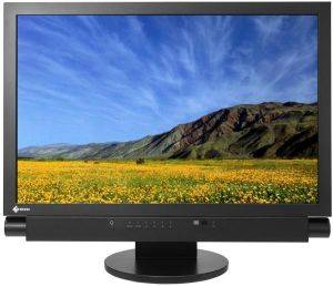 EIZO FX2431W-BK 24\'\' LCD BLACK