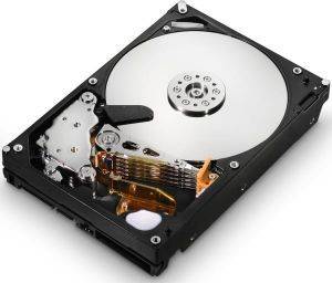 HGST ULTRASTAR A7K2000 HUA722050CLA330 500GB SATA2