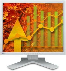 EIZO S1921XSH-GY 19\'\' DVI GREY