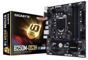  GIGABYTE GA-B250M-DS3H RETAIL