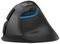 DELUX M618MINI DB WIRELESS VERTICAL MOUSE BLACK
