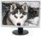 LG W2242S-SF 22'' TFT