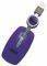SWEEX NOTEBOOK OPTICAL MOUSE PURPLE RAIN