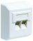 ����� ������ ��������� CAT 5E �����