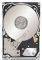 SEAGATE ST9250610NS 250GB CONSTELLATION.2 SATA3