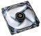 BITFENIX SPECTRE PWM 120MM FAN WHITE LED - BL...