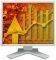 EIZO S1921XSH-GY 19'' DVI GREY