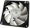 ARCTIC COOLING F8 TC FAN 80MM