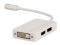 VALUELINE VLMP37460W0.20 MINI DISPLAYPORT TO ...