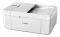 CANON PIXMA MX495 WHITE