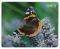 NATEC NPF-0383 PHOTO MOUSEPAD BUTTERFLY