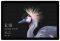 TABLET MICROSOFT SURFACE PRO 12.3'' QUAD HD I...